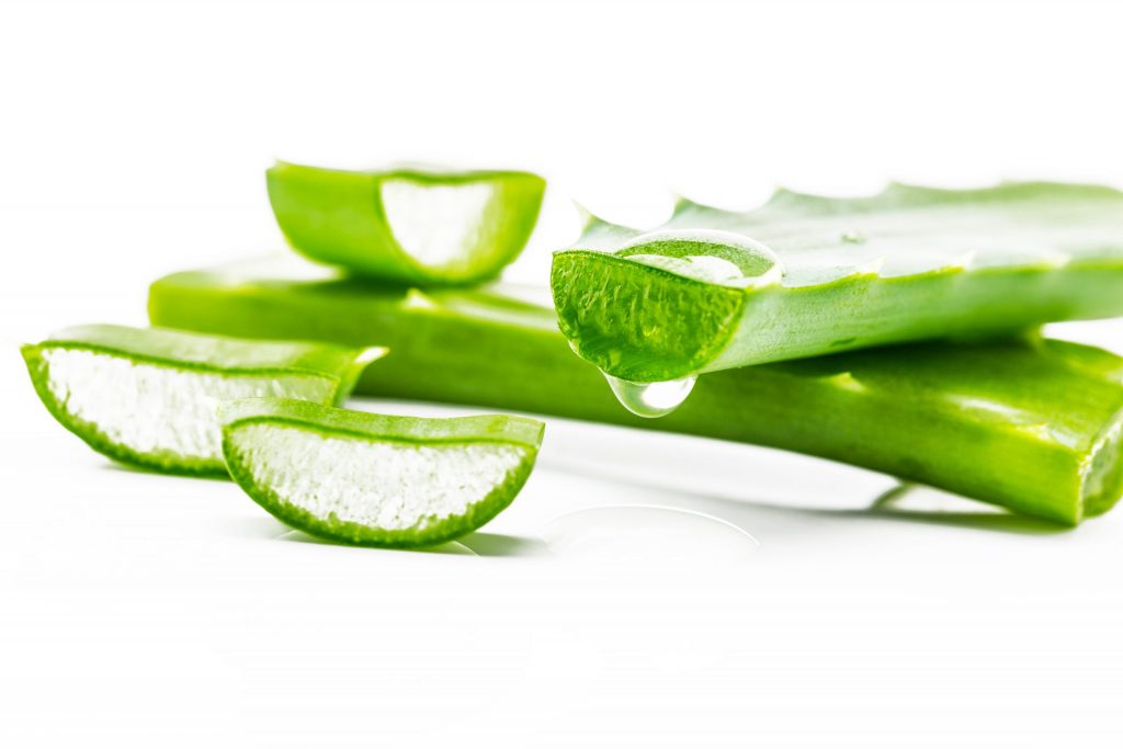 aloe vera
